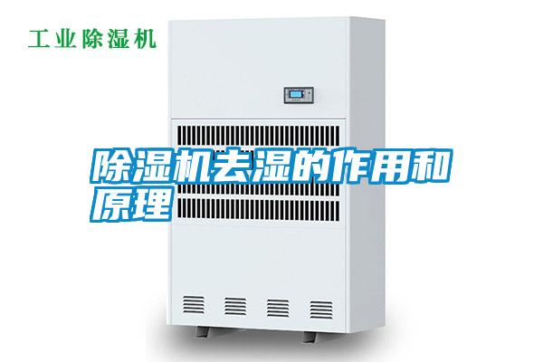 国产精品欧美激情视频 除湿机去湿的作用和原理