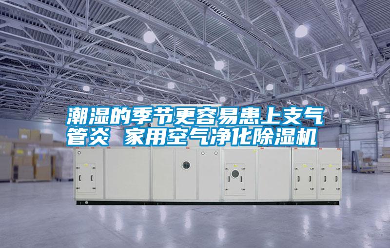 国产精品欧美激情视频 潮湿的季节更容易患上支气管炎 家用空气净化除湿机