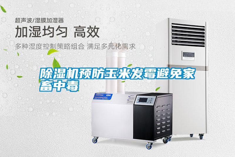 国产精品欧美激情视频 除湿机预防玉米发霉避免家畜中毒