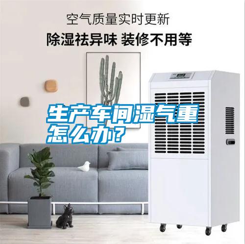 国产精品探花在线观看 生产车间湿气重怎么办？