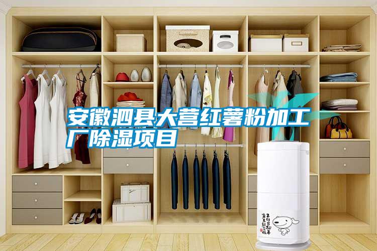 国产精品探花在线观看 安徽泗县大营红薯粉加工厂除湿项目