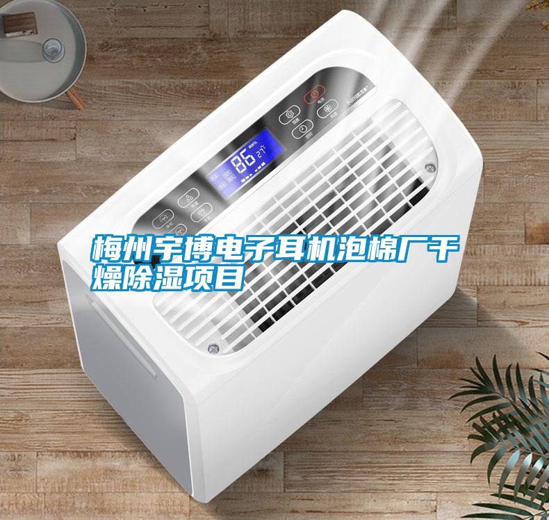 国产精品欧美激情视频 梅州宇博电子耳机泡棉厂干燥除湿项目