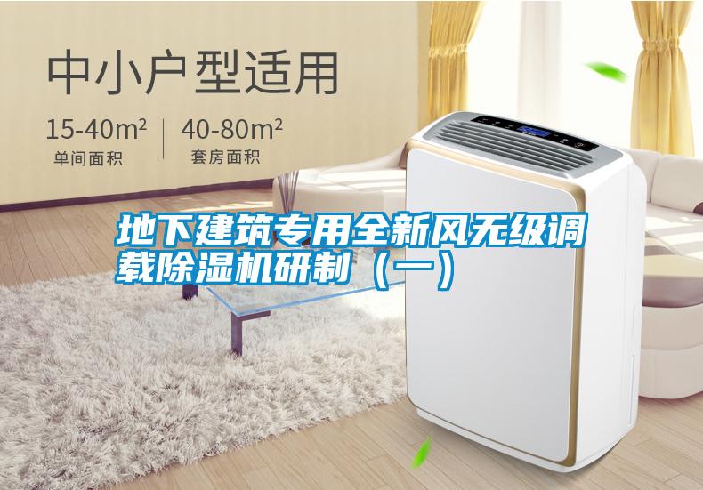 国产精品三级在线观看 地下建筑专用全新风无级调载除湿机研制（一）