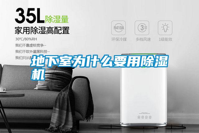 国产精品三级在线观看 地下室为什么要用除湿机