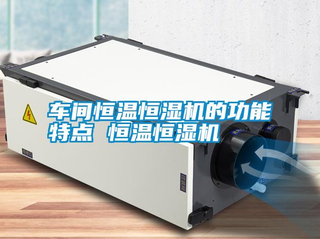 国产精品欧美激情视频 车间恒温恒湿机的功能特点 恒温恒湿机