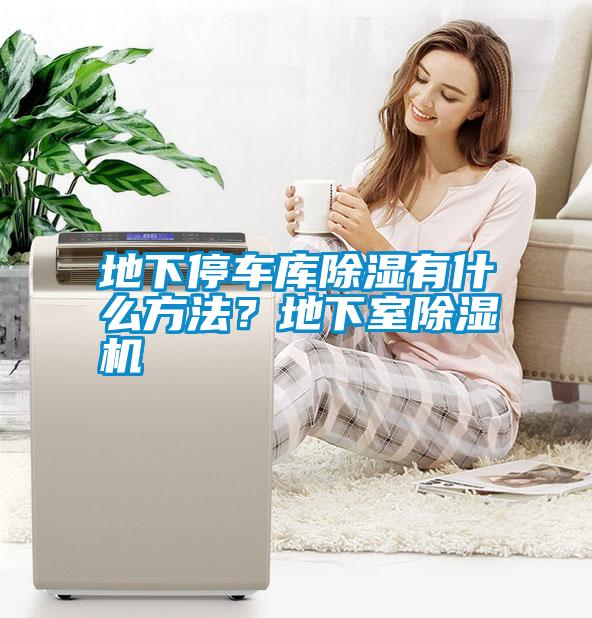 国产精品欧美激情视频 地下停车库除湿有什么方法？地下室除湿机