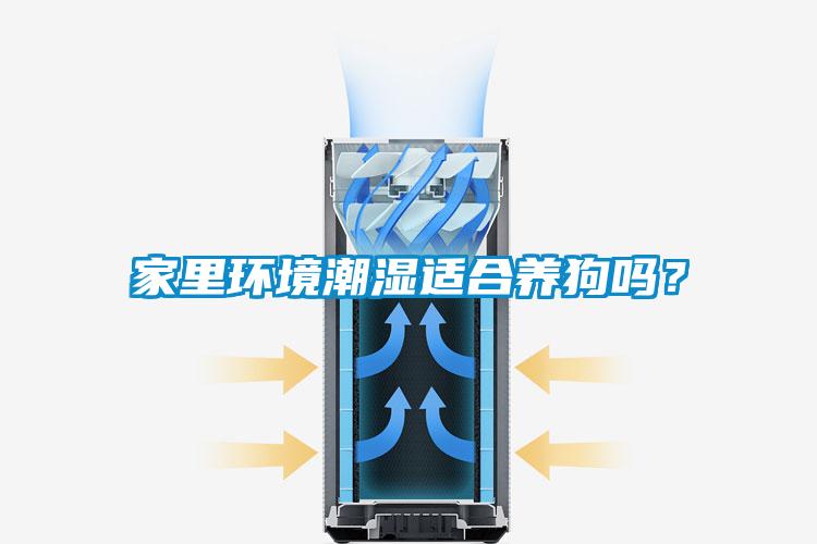 国产精品探花在线观看 家里环境潮湿适合养狗吗？