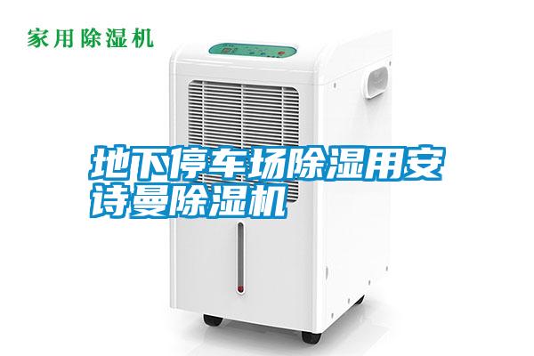 国产精品欧美激情视频 地下停车场除湿用安诗曼除湿机