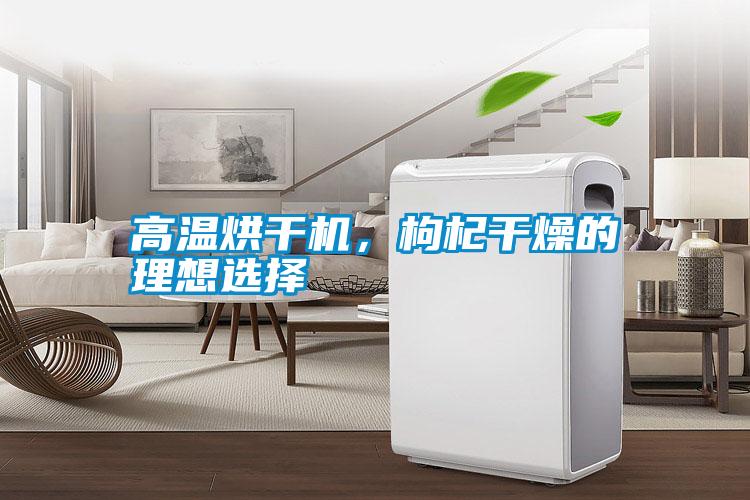 国产精品欧美激情视频 高温烘干机，枸杞干燥的理想选择