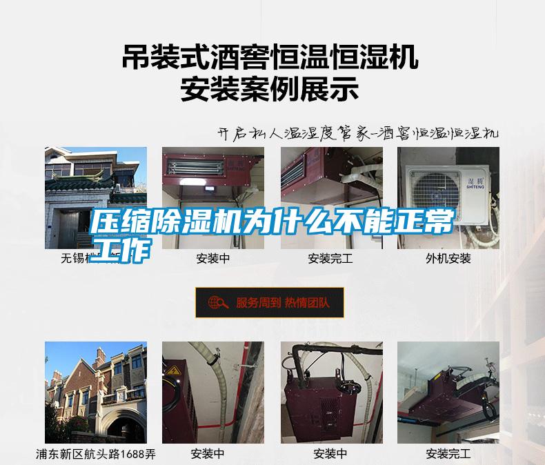 国产精品欧美激情视频 压缩除湿机为什么不能正常工作