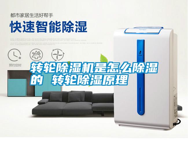 国产精品欧美激情视频 转轮除湿机是怎么除湿的 转轮除湿原理