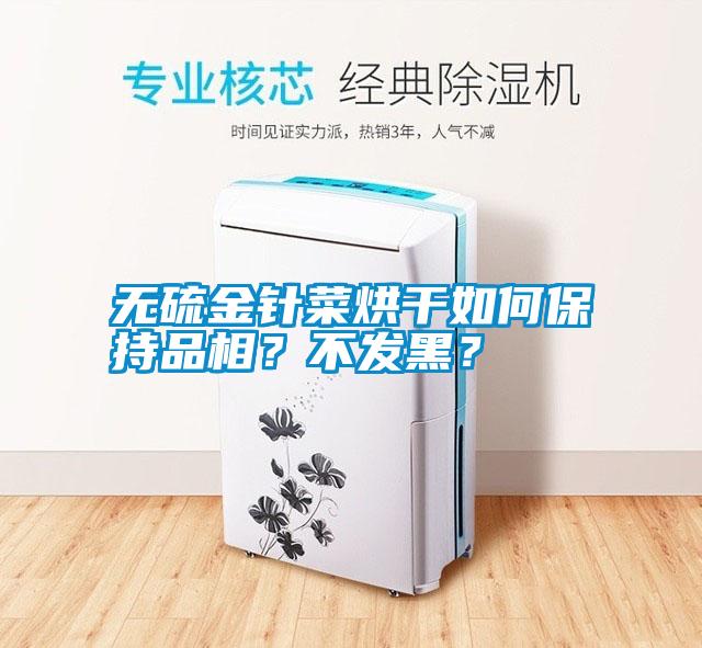 国产精品三级在线观看 无硫金针菜烘干如何保持品相？不发黑？