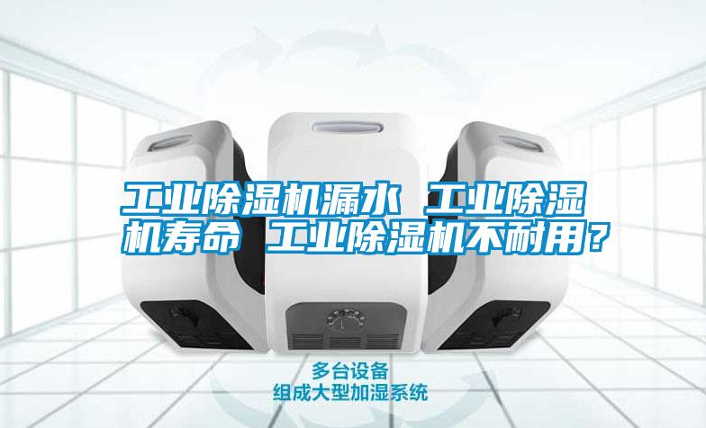 国产精品欧美激情视频 工业除湿机漏水 工业除湿机寿命 工业除湿机不耐用？