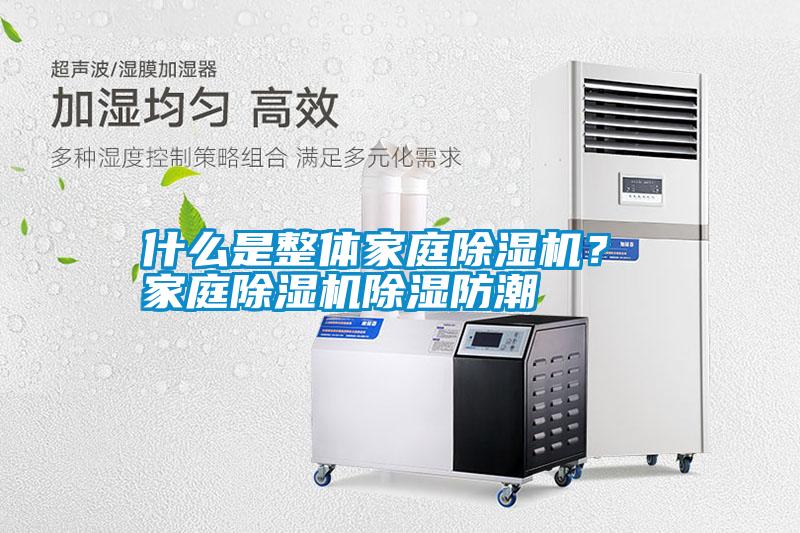 国产精品探花在线观看 什么是整体家庭除湿机？ 家庭除湿机除湿防潮