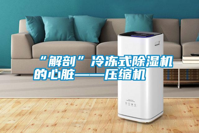 国产精品探花在线观看 “解剖”冷冻式除湿机的心脏——压缩机