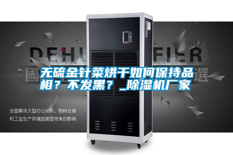 国产精品欧美激情视频 无硫金针菜烘干如何保持品相？不发黑？_除湿机厂家