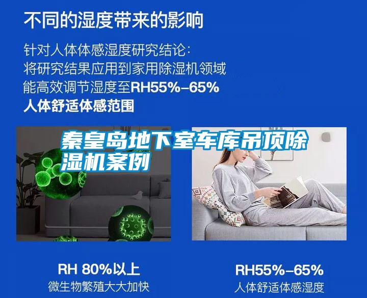 国产精品三级在线观看 秦皇岛地下室车库吊顶除湿机案例