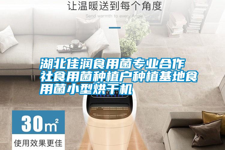 国产精品探花在线观看 湖北佳润食用菌专业合作社食用菌种植户种植基地食用菌小型烘干机