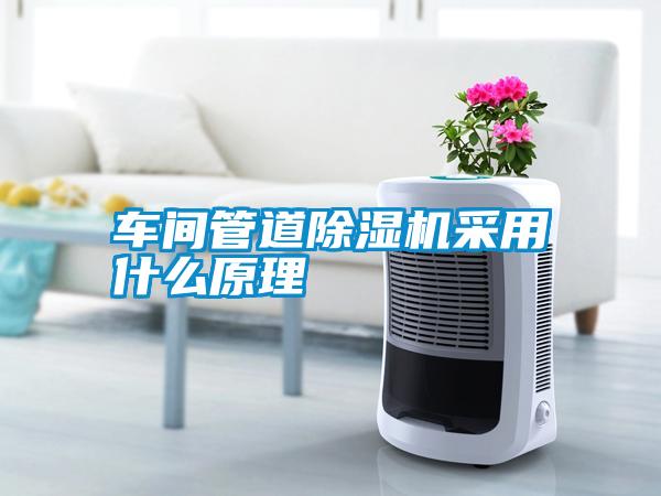 国产精品欧美激情视频 车间管道除湿机采用什么原理