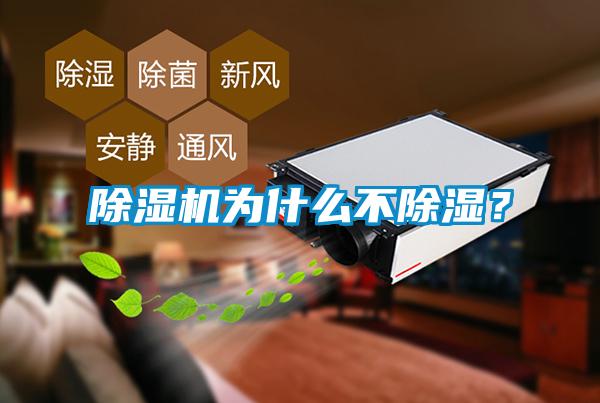 国产精品探花在线观看 除湿机为什么不除湿？