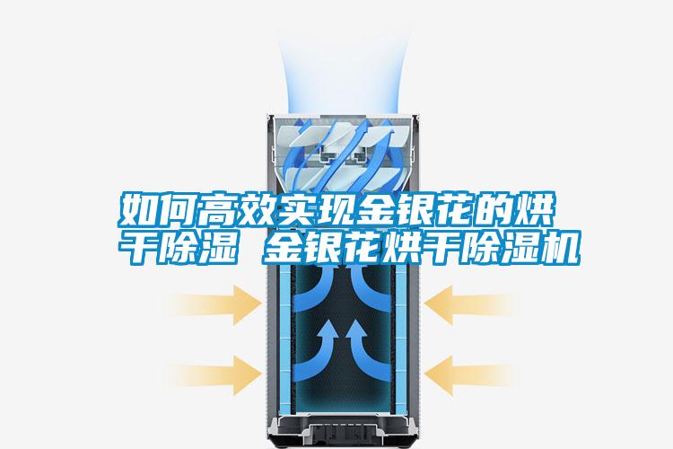 国产精品探花在线观看 如何高效实现金银花的烘干除湿 金银花烘干除湿机
