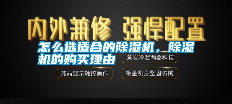 国产精品欧美激情视频 怎么选适合的除湿机，除湿机的购买理由