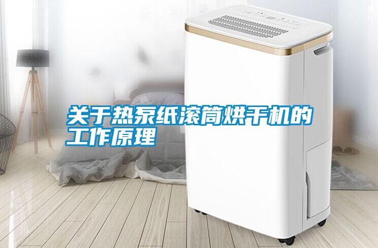 国产精品三级在线观看 关于热泵纸滚筒烘干机的工作原理