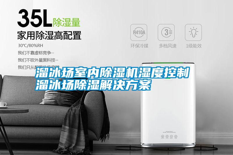 国产精品三级在线观看 溜冰场室内除湿机湿度控制 溜冰场除湿解决方案