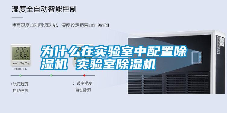 国产精品三级在线观看 为什么在实验室中配置除湿机 实验室除湿机
