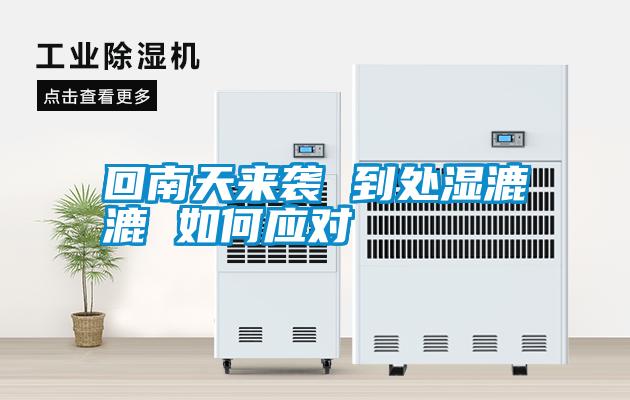 国产精品探花在线观看 回南天来袭 到处湿漉漉 如何应对