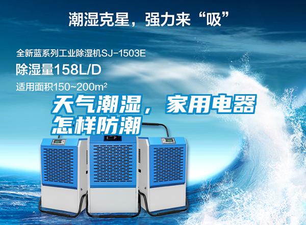 国产精品三级在线观看 天气潮湿，家用电器怎样防潮