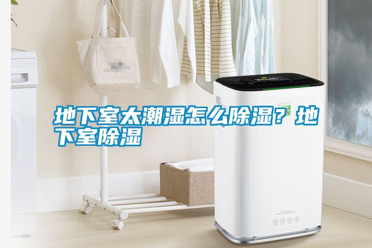 国产精品三级在线观看 地下室太潮湿怎么除湿？地下室除湿