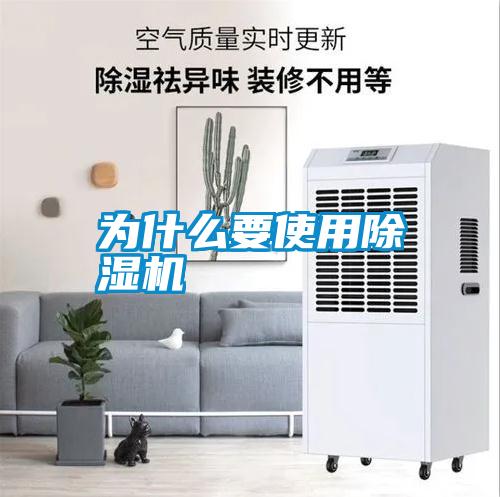 国产精品欧美激情视频 为什么要使用除湿机
