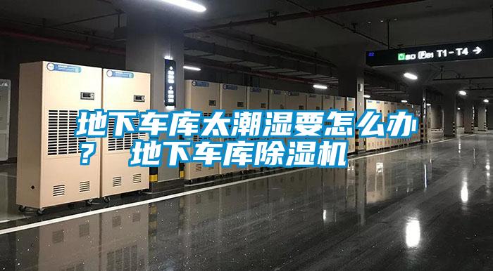 国产精品探花在线观看 地下车库太潮湿要怎么办？ 地下车库除湿机