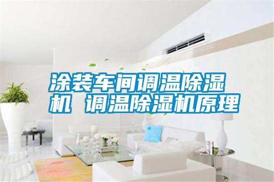 国产精品欧美激情视频 涂装车间调温除湿机 调温除湿机原理