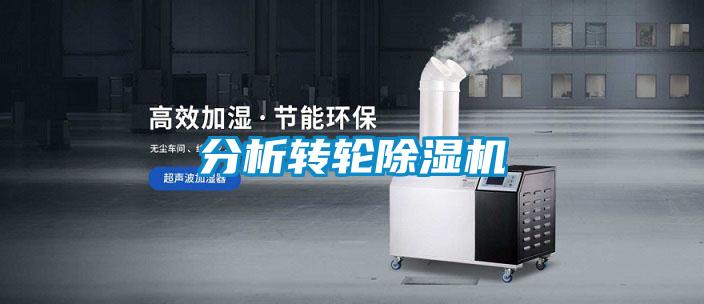 国产精品欧美激情视频 分析转轮除湿机
