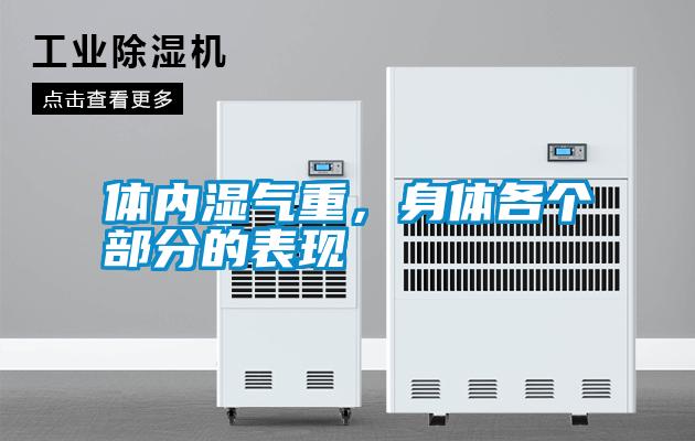 国产精品三级在线观看 体内湿气重，身体各个部分的表现