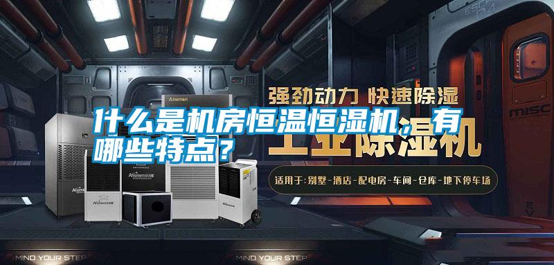 国产精品欧美激情视频 什么是机房恒温恒湿机，有哪些特点？