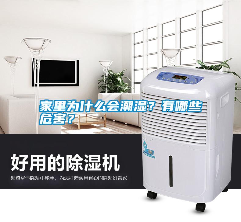 国产精品探花在线观看 家里为什么会潮湿？有哪些危害？