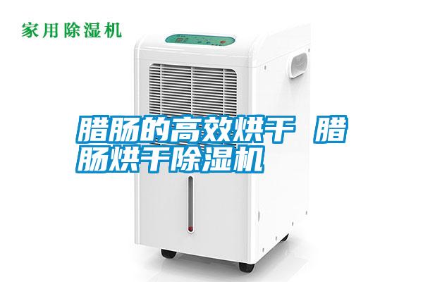 国产精品欧美激情视频 腊肠的高效烘干 腊肠烘干除湿机