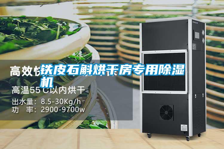 国产精品欧美激情视频 铁皮石斛烘干房专用除湿机