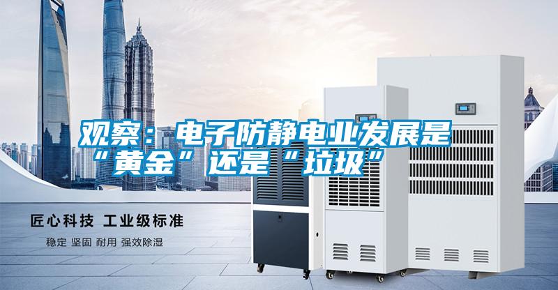 国产精品探花在线观看 观察：电子防静电业发展是“黄金”还是“垃圾”