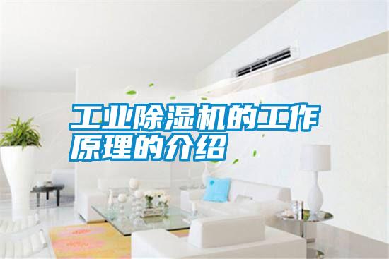 国产精品三级在线观看 工业除湿机的工作原理的介绍