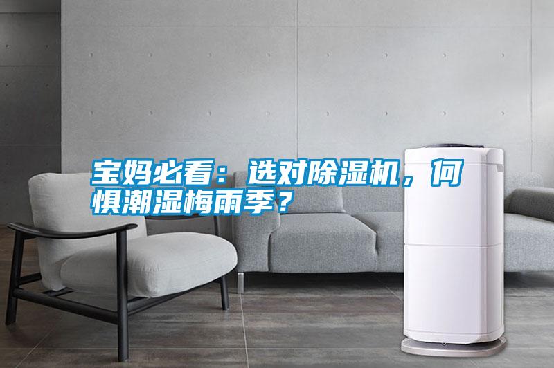 国产精品三级在线观看 宝妈必看：选对除湿机，何惧潮湿梅雨季？