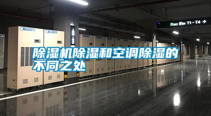 国产精品欧美激情视频 除湿机除湿和空调除湿的不同之处