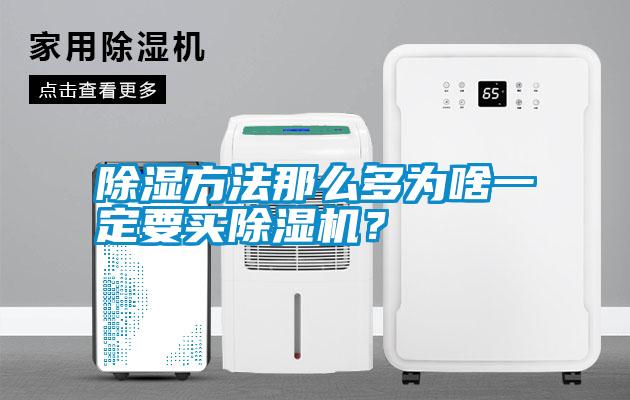 国产精品三级在线观看 除湿方法那么多为啥一定要买除湿机？