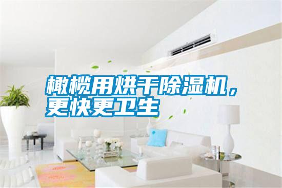 国产精品三级在线观看 橄榄用烘干除湿机，更快更卫生