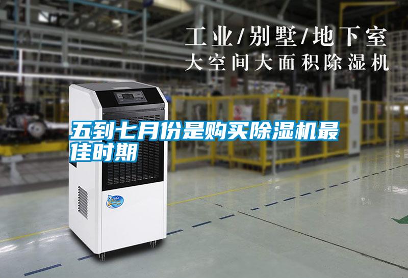 国产精品三级在线观看 五到七月份是购买除湿机最佳时期
