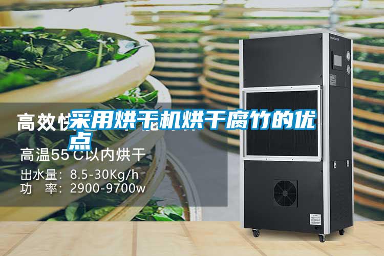 国产精品三级在线观看 采用烘干机烘干腐竹的优点