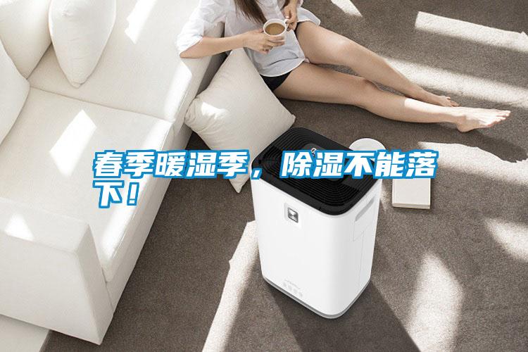 国产精品三级在线观看 春季暖湿季，除湿不能落下！